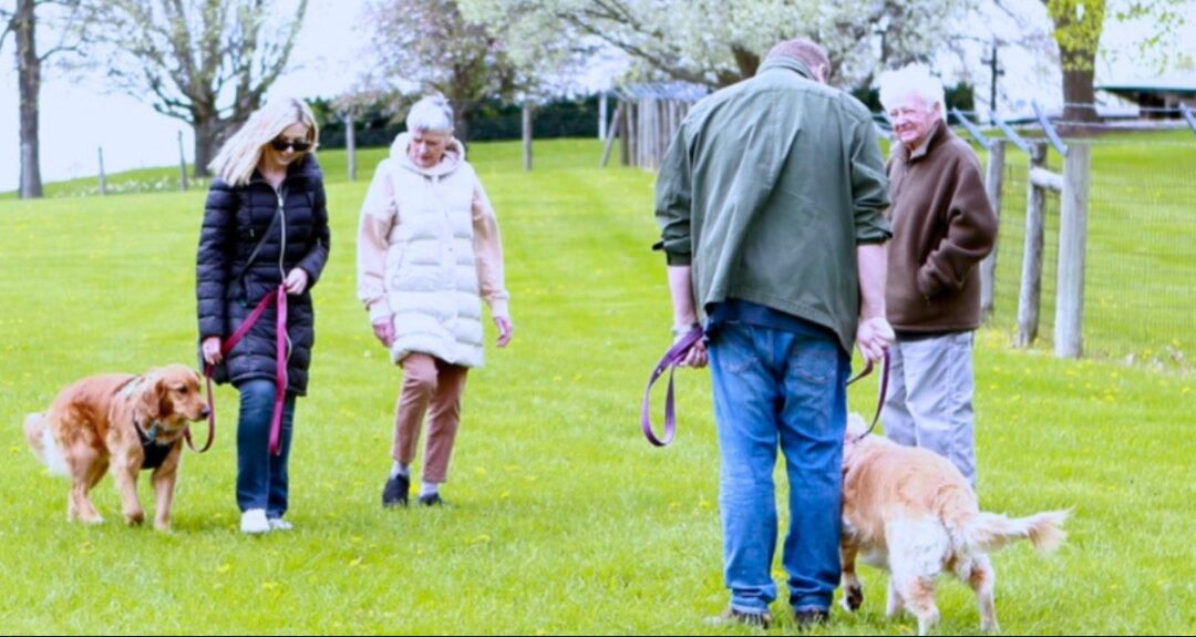 Bring Tails & Tales: How to Host a Community Doggy Event