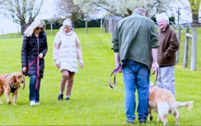 Bring Tails & Tales: How to Host a Community Doggy Event