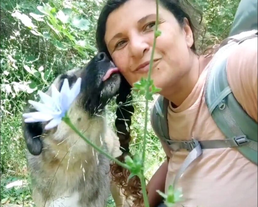 Sometimes, the best stories begin quietly. With one step. One moment. One tail wag.