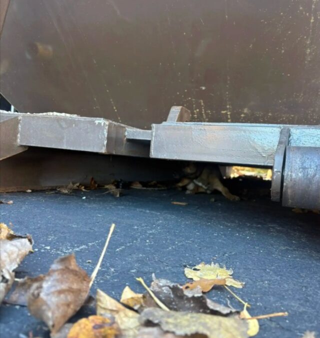 They Had a Venue to Manage—Until a Little Pup Under a Dumpster Made Them Heroes