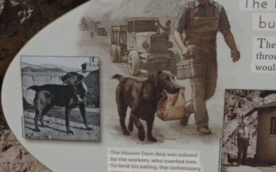 Mascot of the Hoover Dam: One Dog’s Legacy Through History