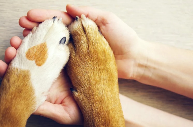 He’d Spent Years Without a Family—Until Someone Said ‘Yes’ to His Forever