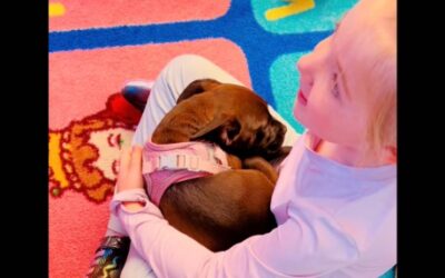 110 Puppies, 1 Classroom, Endless Love