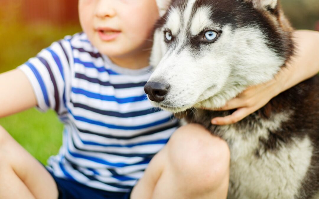 Your Dog Isn’t Just a Pet — Sometimes They Heal