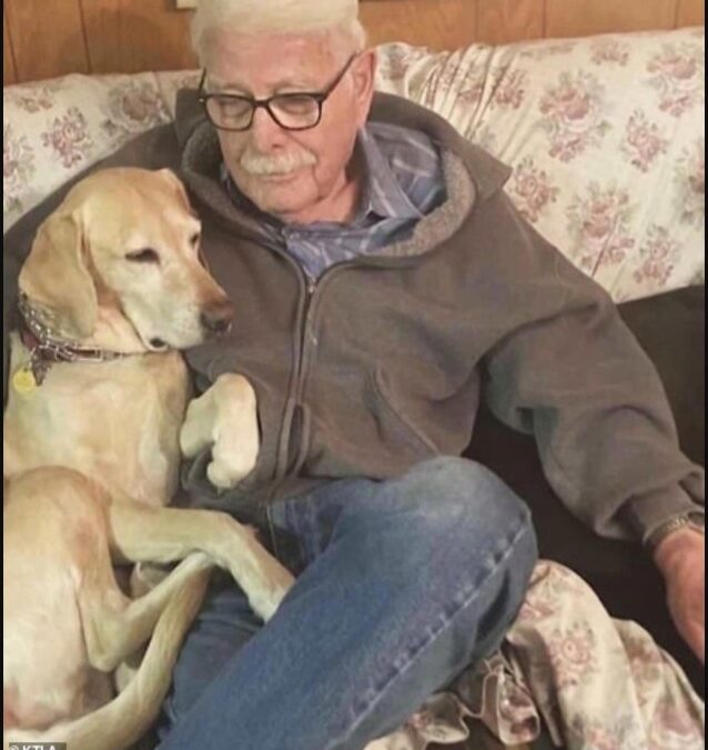 Sunny’s Return: A 93-Year-Old Man’s Joy After Days of Worry