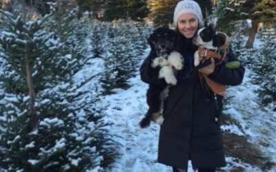 Why Bringing Your Dog to a Christmas Tree Farm Can Be Both Fun — and Safe