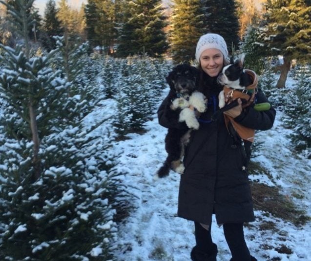 Why Bringing Your Dog to a Christmas Tree Farm Can Be Both Fun — and Safe