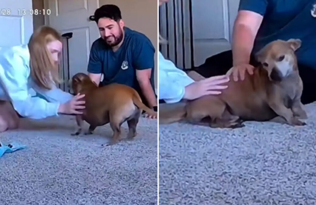 When Welcome Home Turns Into Heart-Stopping Fear