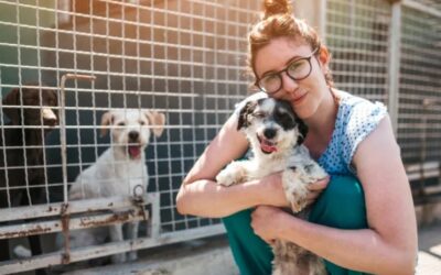 Fifteen Forever Homes, Fifteen Happy Tails — And the Stories That Will Make You Smile