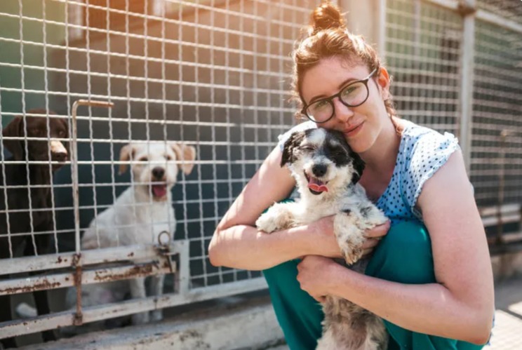 Fifteen Forever Homes, Fifteen Happy Tails — And the Stories That Will Make You Smile