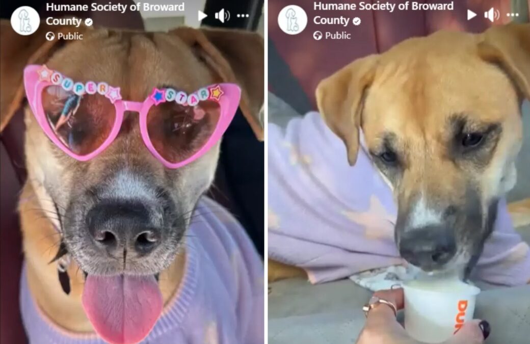 A Day to Remember: Bridget’s Long-Awaited Taste of Freedom