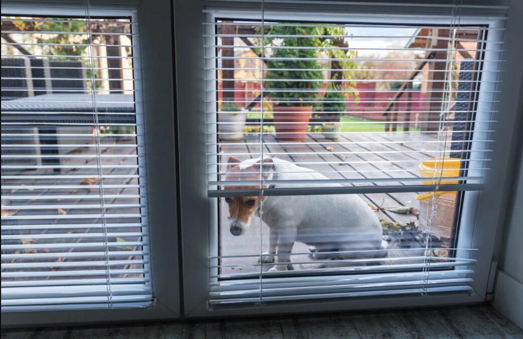 Too Scared to Step Inside — Until a Single Moment Changed Everything