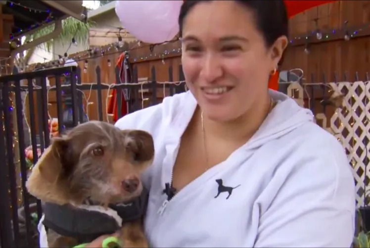 Lost, Found, and Flying Back: The Dog Who Survived a 5‑Year Disappearance