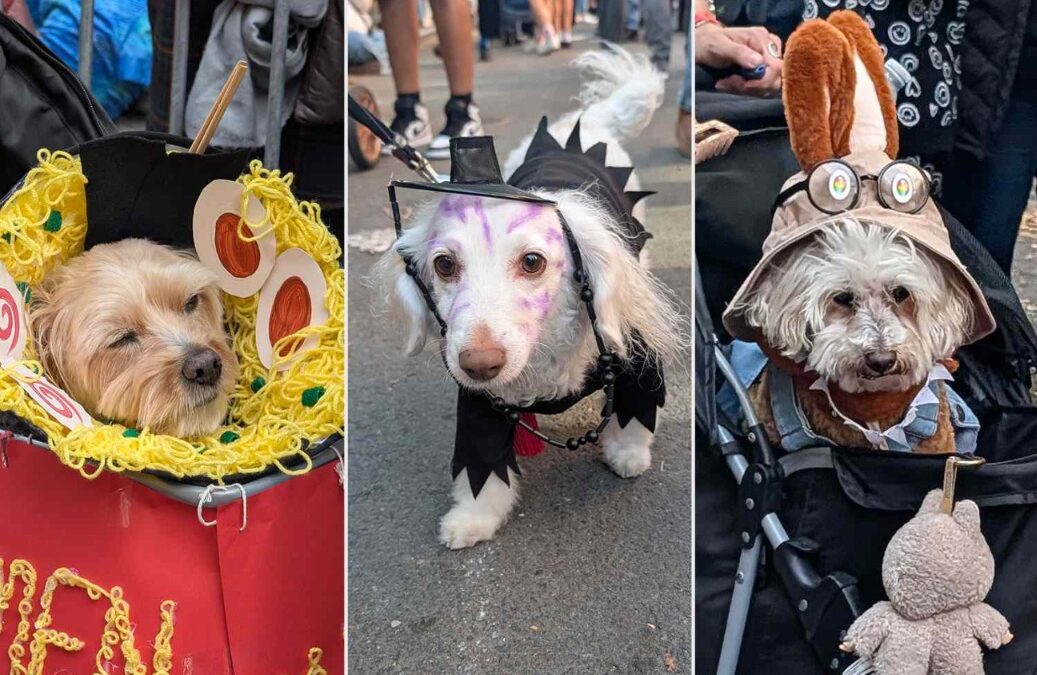 Tails, Costumes & Chaos: How NYC’s Pup Parade Turned the City Into a Doggy Met Gala