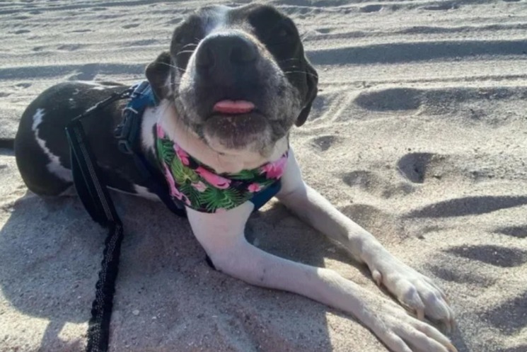 Lost at a Shell Station — Then a Birthday Road Trip Changed Everything