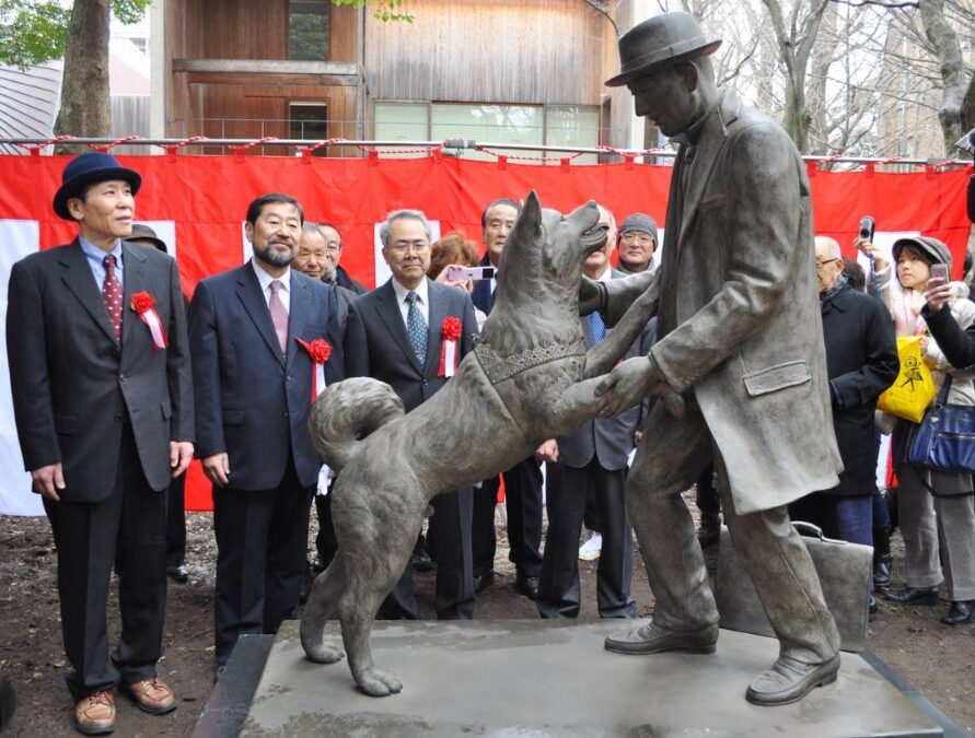 Hachikō: The Dog Who Waited Forever — A Tale of Loyalty That Still Moves Japan