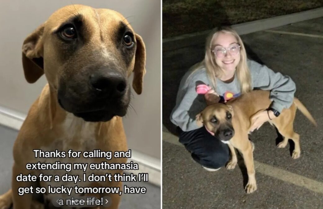 She Was Just DAYS From Death… Then One Woman Did This — And Changed EVERYTHING