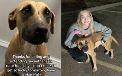 She Was Just DAYS From Death… Then One Woman Did This — And Changed EVERYTHING