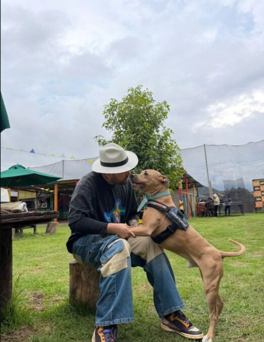 How One Simple Spanish Message to a Dog Brought Strangers Together