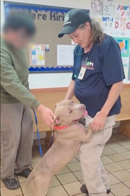 Tears, Loyalty, and Hope — When a Dog Is Caught Between Love and Life’s Cruel Turns