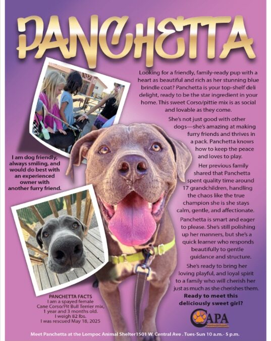 The Perfect Recipe for Joy: A Dash of Droop, a Pinch of Pepper, and a Lot of Panchetta