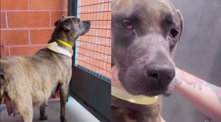 Pregnant, Scared, and Out of Time: How Hannah Beat the Countdown