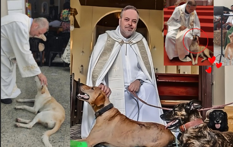 The Unconventional Church Where Every Sermon Includes a Rescue Dog