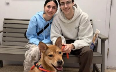 A Scared Face in a Sealed Box: Tangi’s Heartbreaking Arrival and Her Joyful New Chapter