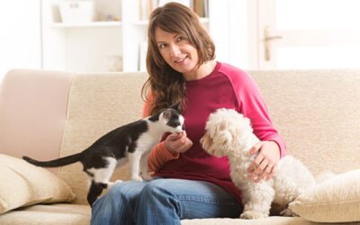 Bring Home a New Pet With Confidence: Proven Steps to a Smooth Introduction
