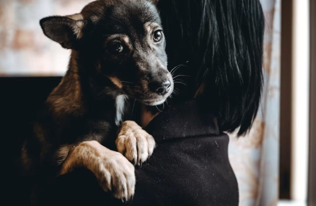 The Unspoken Wish: How One Day of ‘Firsts’ Changed Everything for Wren