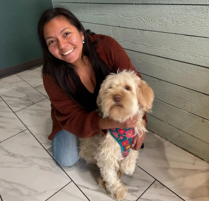 Stops for Every Stray Dog — How One Woman’s Compassion Saved Over 5,000 Lives