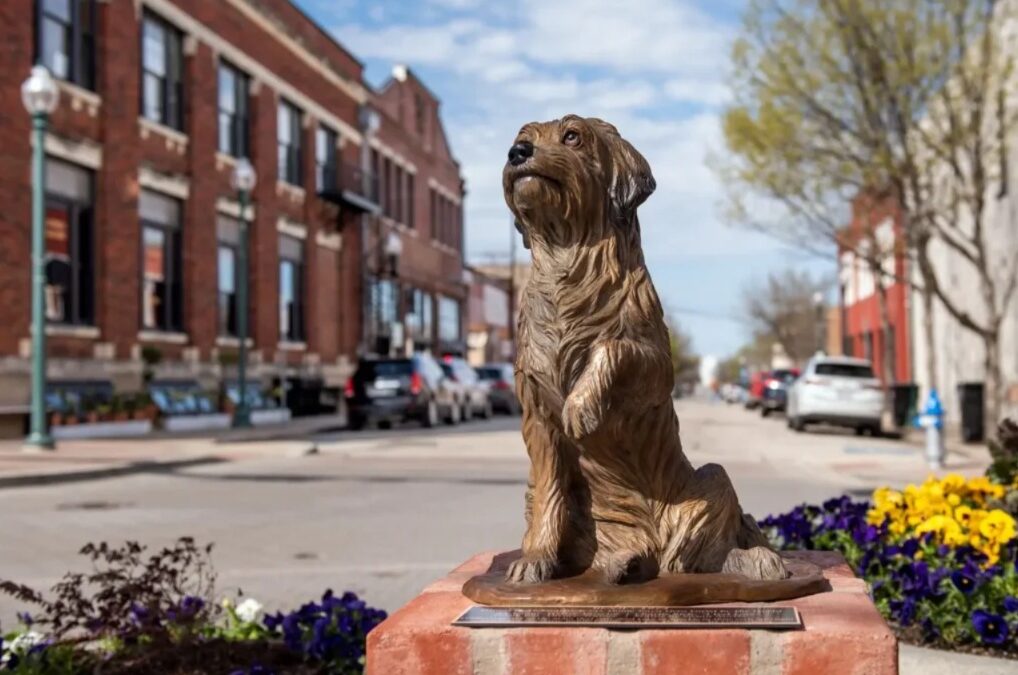 Soulful Eyes and a Heart of Gold: The Life and Legacy of the World’s Most Famous Stray