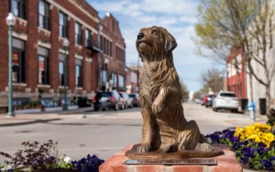 Soulful Eyes and a Heart of Gold: The Life and Legacy of the World’s Most Famous Stray