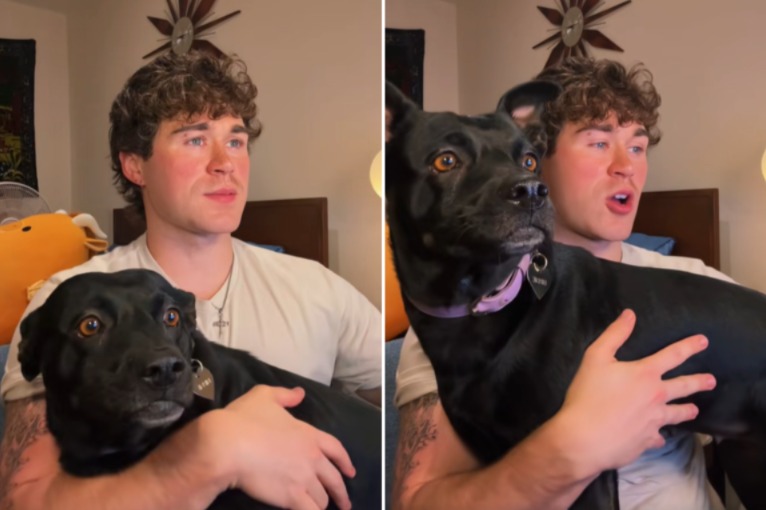 The Wild Breed Breakdown That Changed How This Owner Sees His Rescue Dog