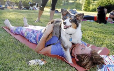 The Joyful World of “Doga”: How Dogs Are Joining Their Humans on the Yoga Mat