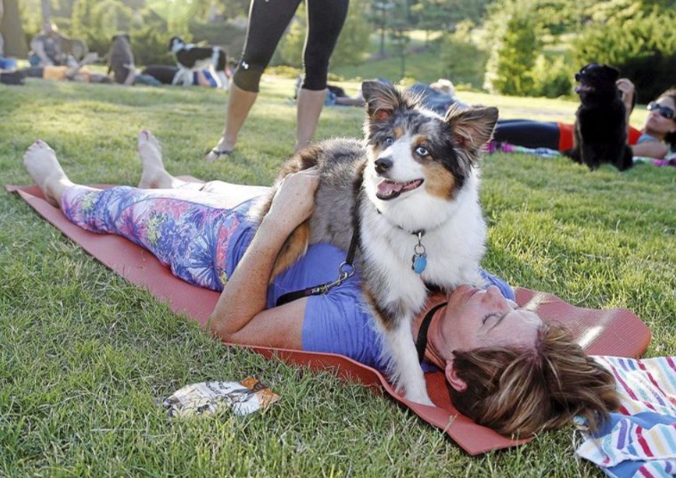 The Joyful World of “Doga”: How Dogs Are Joining Their Humans on the Yoga Mat
