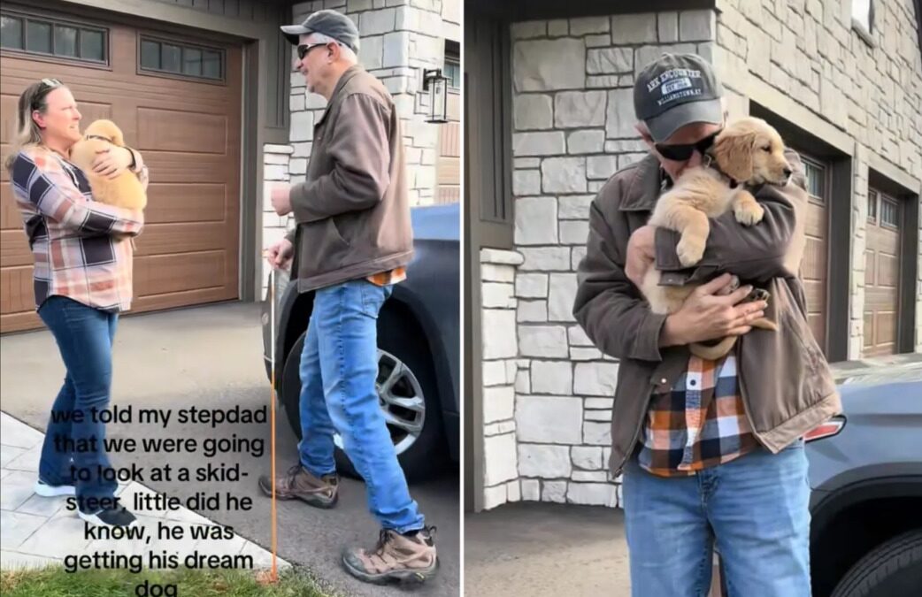 Stepdad in Tears After Family Surprises Him With Dream Puppy
