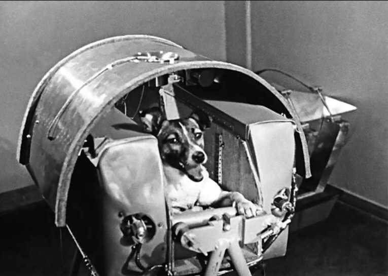 Laika: The Stray Dog Who Touched the Stars — and the Heartaches She Left Behind