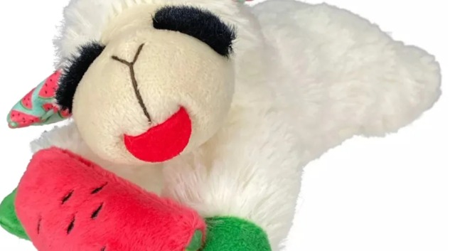 28 Lambies and a Lifetime of Love — The Transformational Story of a Beagle Who Never Had a Toy