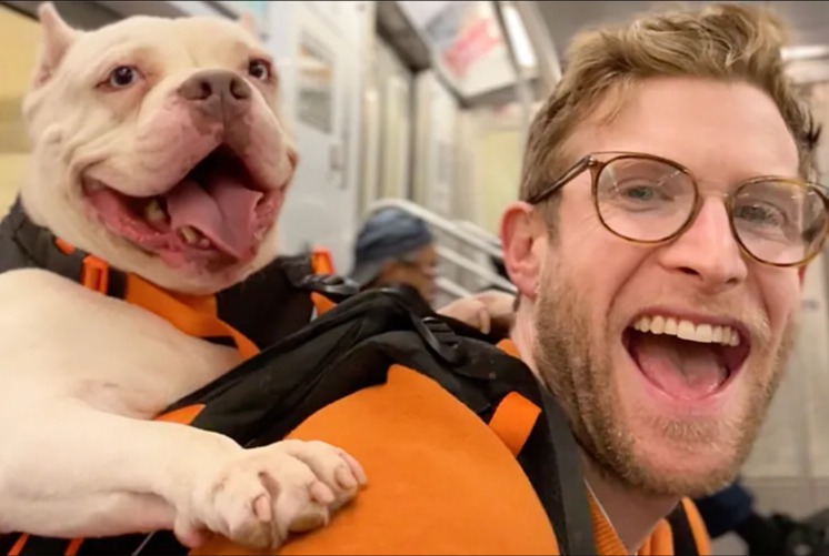 Viral Backpack Adventures Turn Rescue Dogs Into Adoptable City Stars