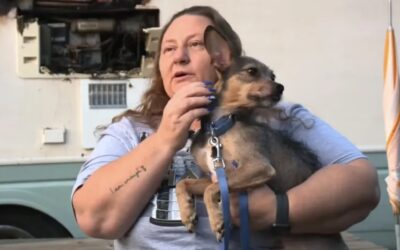 Thirty Seconds to Live: The Rescue Dog Who Snatched His Family from a Florida Inferno