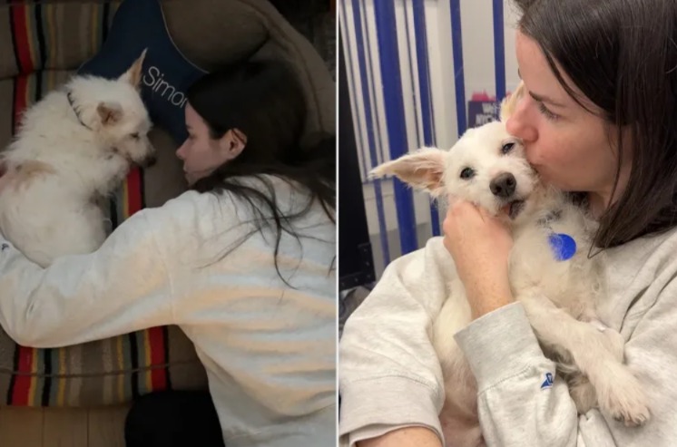 The Heartbreaking But Beautiful Story of a Woman Giving a Dying Dog a Family