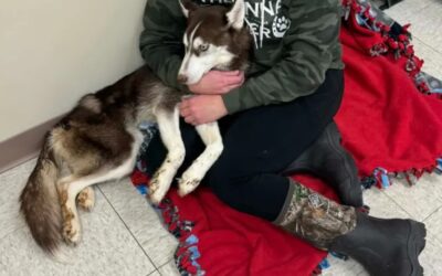 Abandoned in a Crate in Freezing Weather — Then She Started to Fight Back