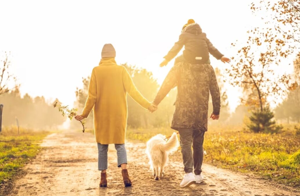 Beau the Golden Retriever Didn’t Just Join the Family — He Helped Create It