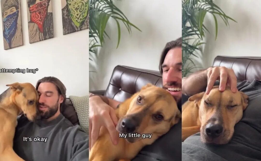 When Fear Meets Love: One Rescue Dog’s Journey Back to Trust