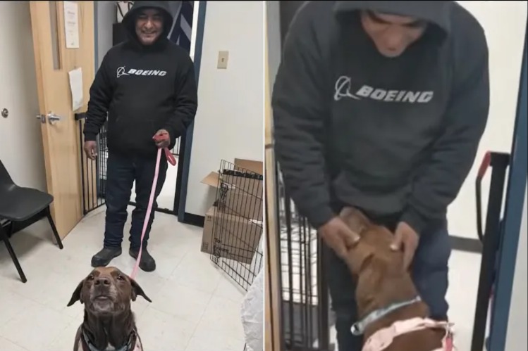 Miles, Storms and a Miracle Reunion: A Lost Dog’s Happy Ending