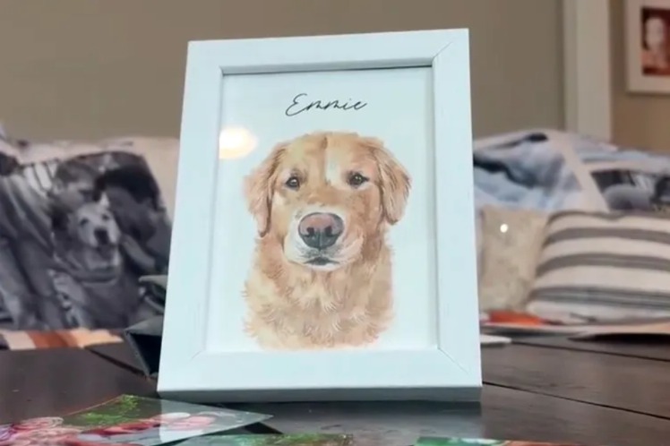 A Steakhouse’s Touching Tribute: A Terminally Ill Dog’s Last Meal