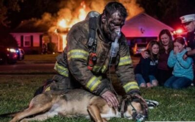 For their Dog, They Ran Back Into the Flames