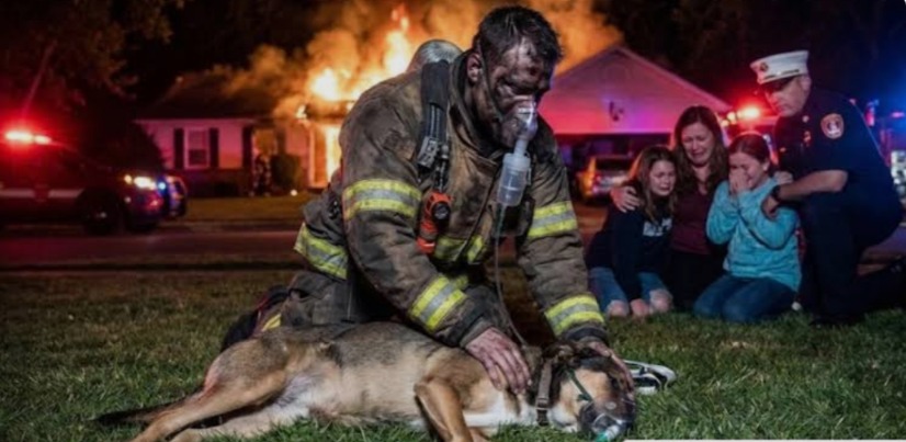 For their Dog, They Ran Back Into the Flames