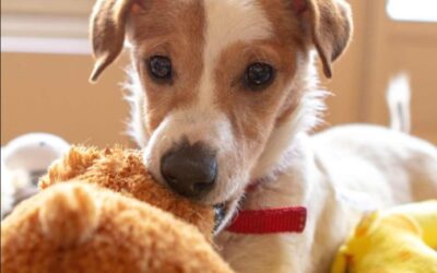 When “Mine” Becomes a Problem